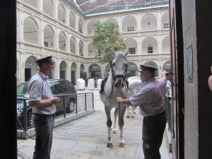  Escuela Española de Equitación de Viena