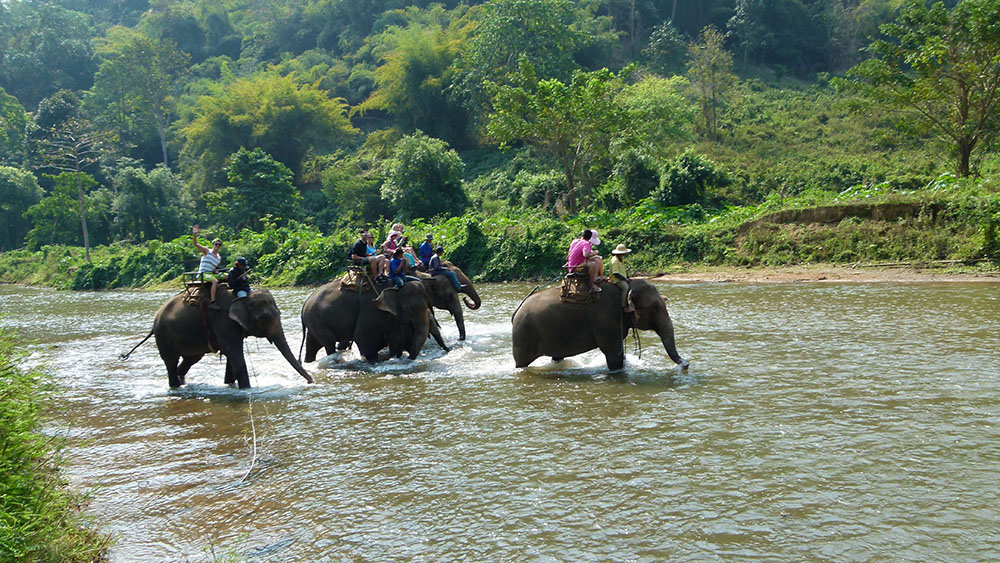 Excursión desde Chiang Mai: Visita a una tribu indígena, trekking y rafting por la selva