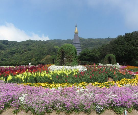 Parque Doi Inthanon