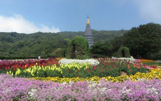 Excursión al Parque Doi Inthanon