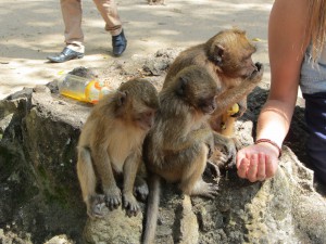 Monkey Cave Temple