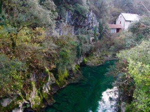 Cabrales