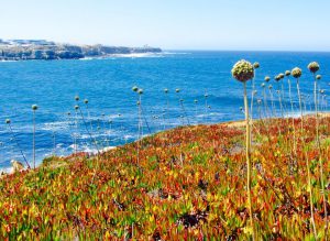 Peniche