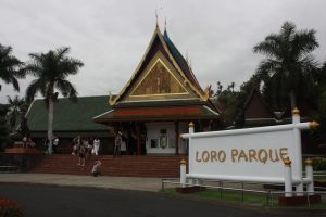 Loro Parque