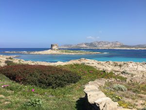 Playa la Pelosa Cerdeña