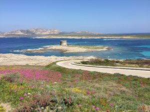 Parque Nacional playa la pelosa