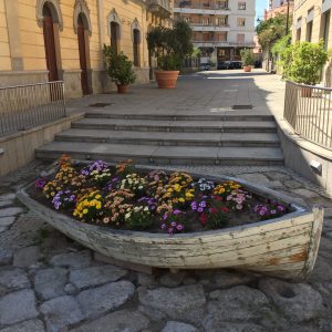 Flores de Olbia