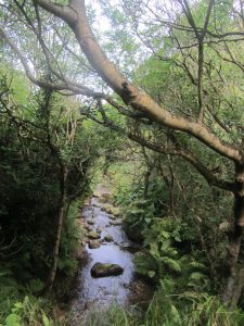 razones para hacer el camino de santiago