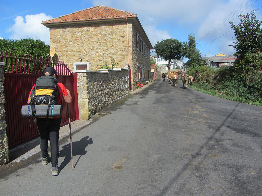 caminando mochilas