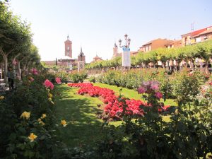 Alcalá de Henares