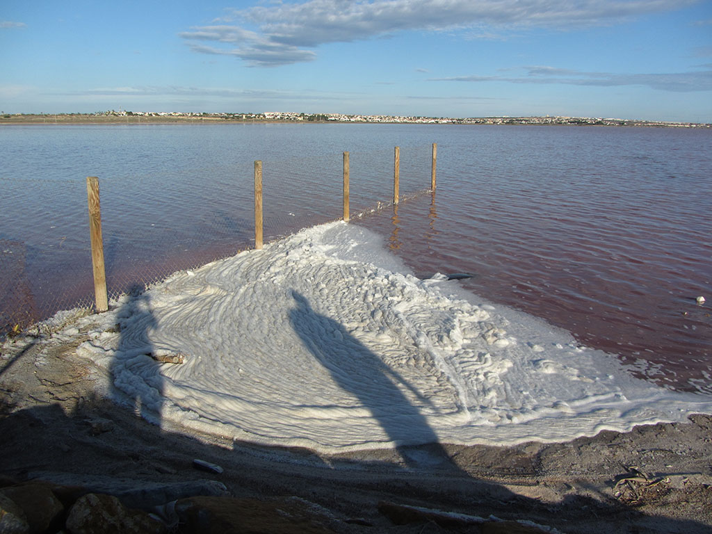 Parque Natural Salinas de Torrevieja