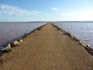 Salinas de Torrevieja