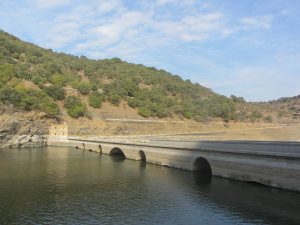 Puente del cardenal de la ruta roja