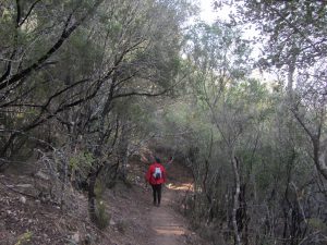 Camino de la ruta roja