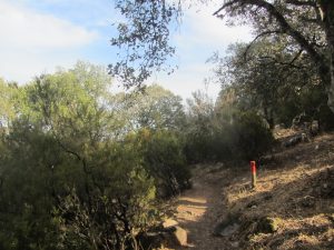 Pista de la ruta roja