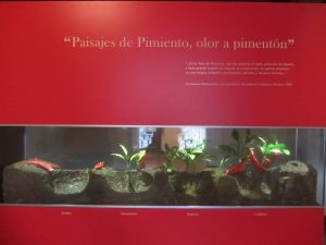 Cultivo del pimiento, del Museo del Pimentón de la Vera