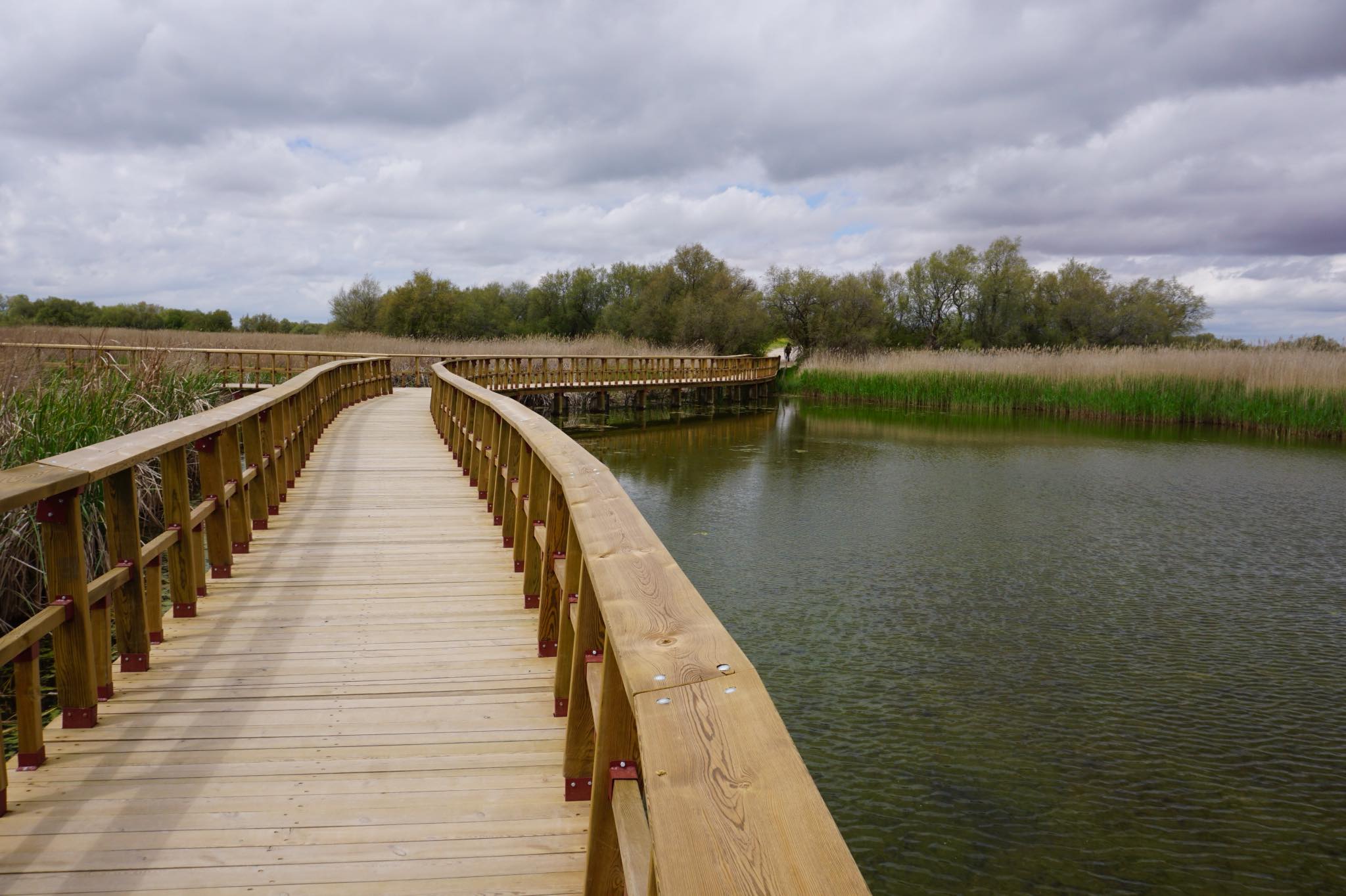 Visitar el Parque Nacional de las Tablas de Daimiel