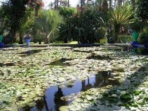 jardines-majorelle