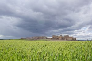 Campos de Calatrava