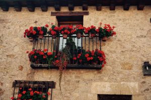 Flores de Pedraza_Viajando con el último bus