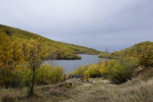 Embalse del Puerto de la Quesera