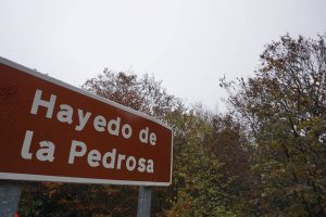 Entrada Hayedo de la Pedrosa