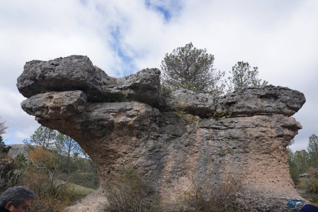 el perro  ciudad encantada