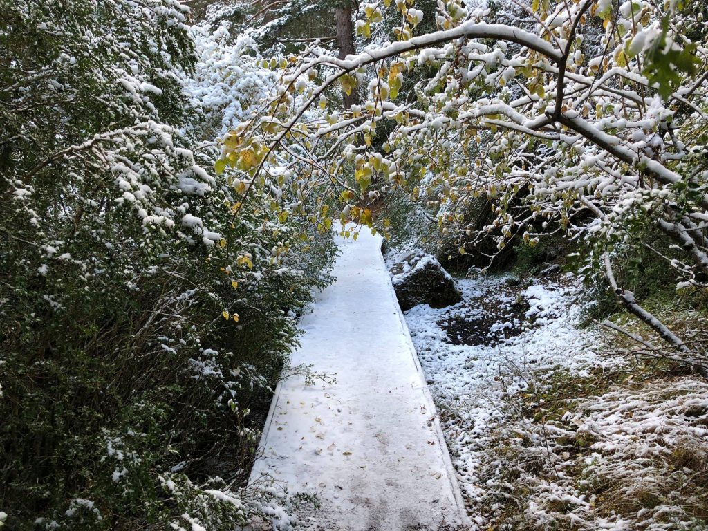 caminos río cuervo nevados