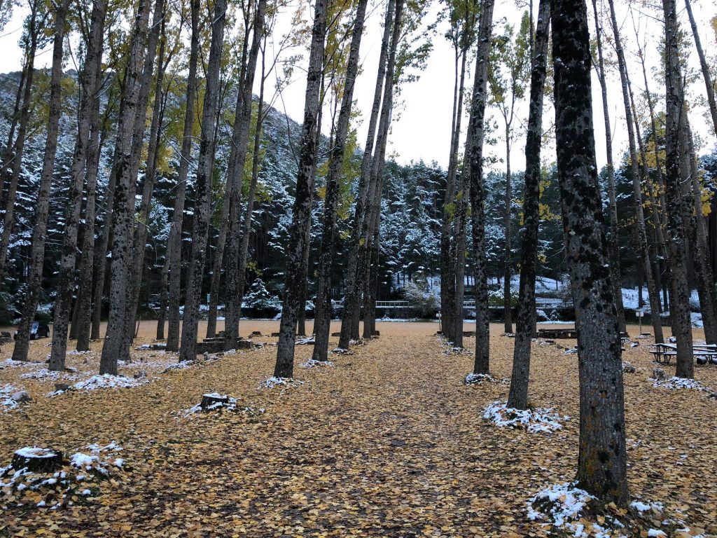 Vuelta al parking del Nacimiento del río cuervo