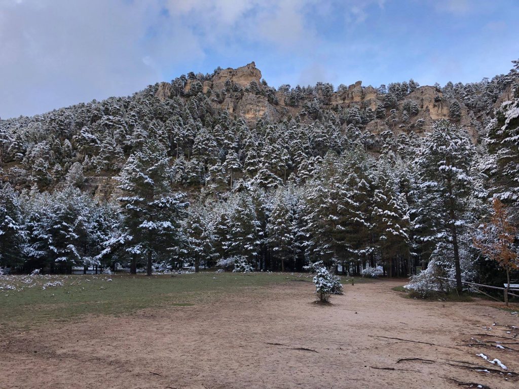 bosque Nacimiento del río cuervo