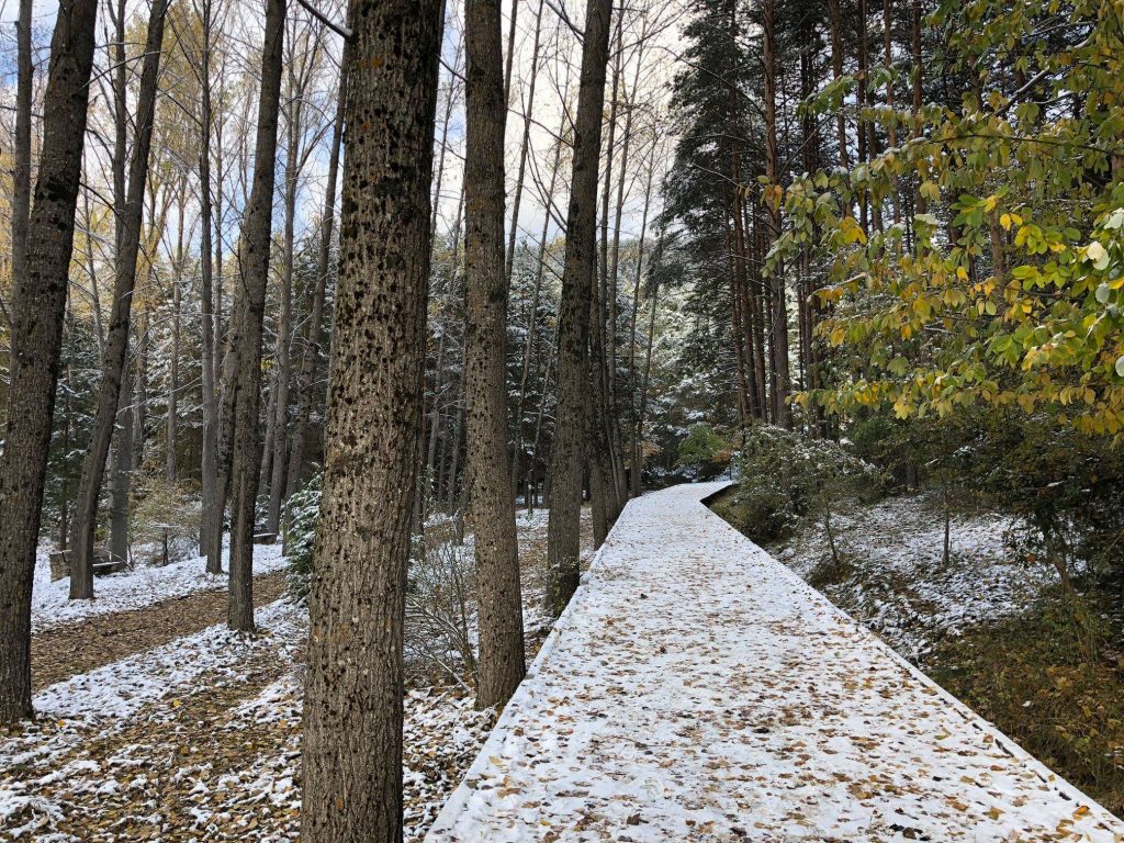 Río Cuervo nevado