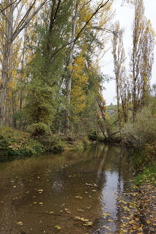 El Parque Natural de las Hoces del Río Duratón