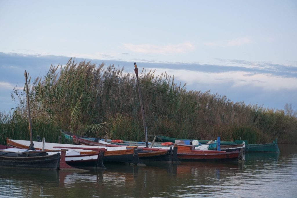 La Albufera