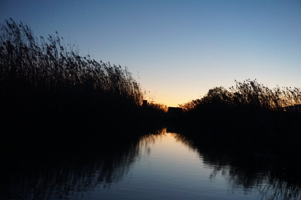 La Albufera