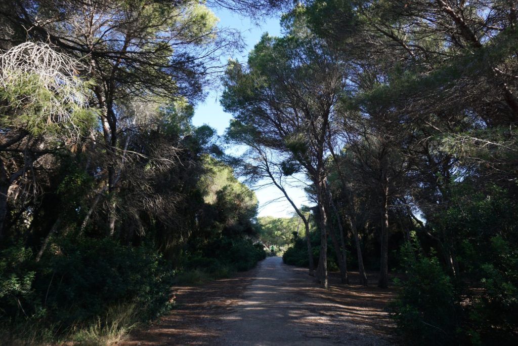 La Albufera