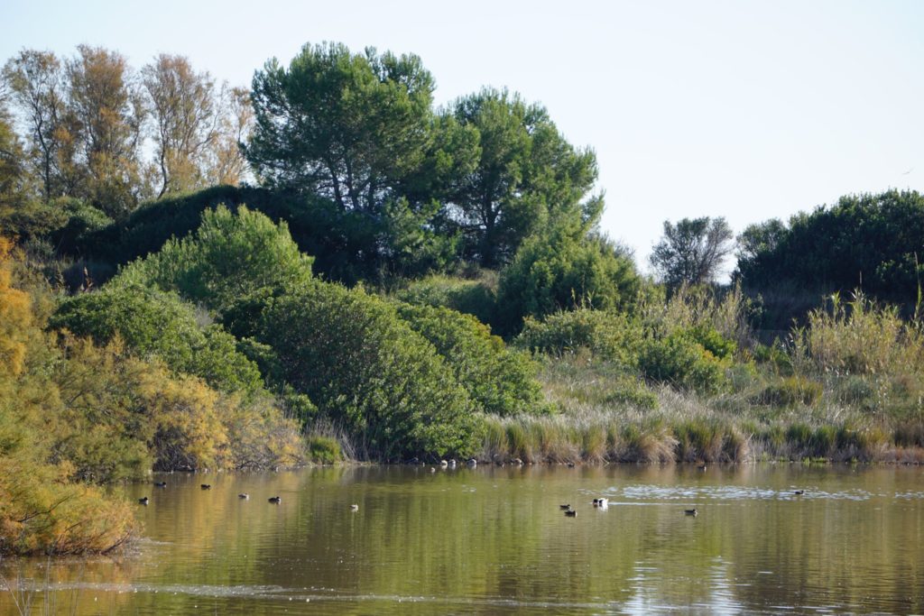 La Albufera