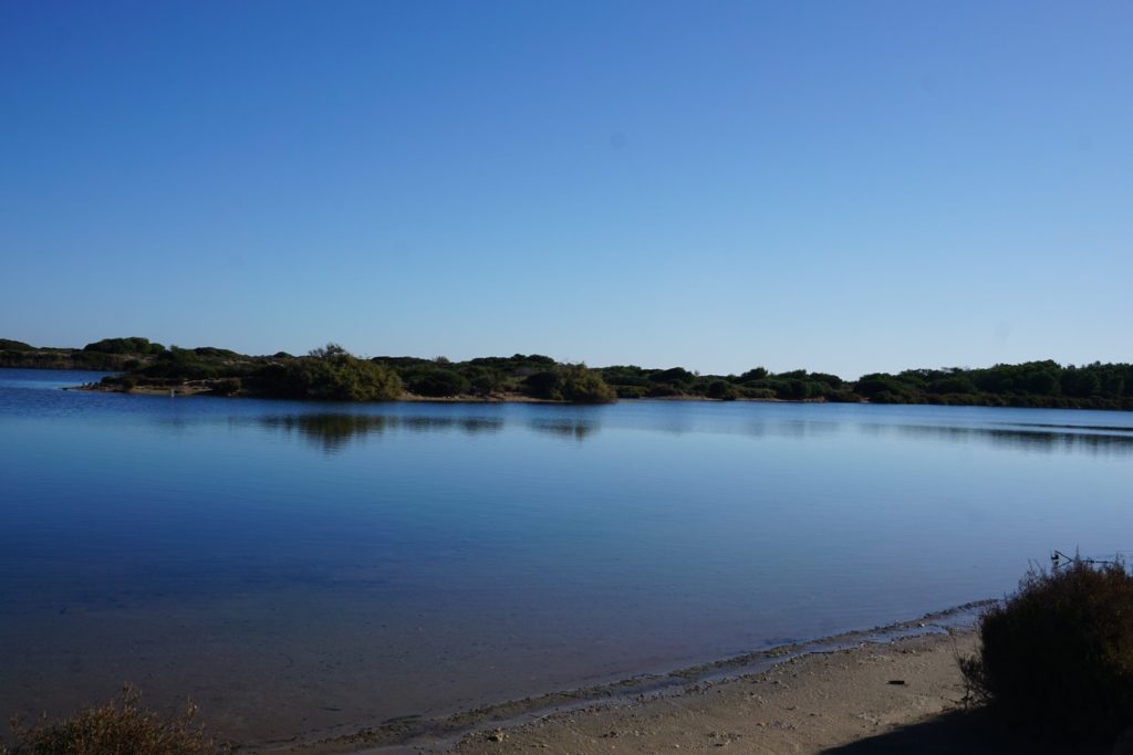 La Albufera