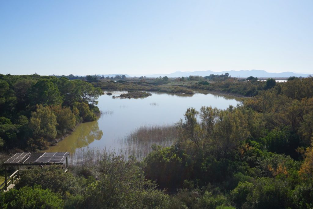 La Albufera