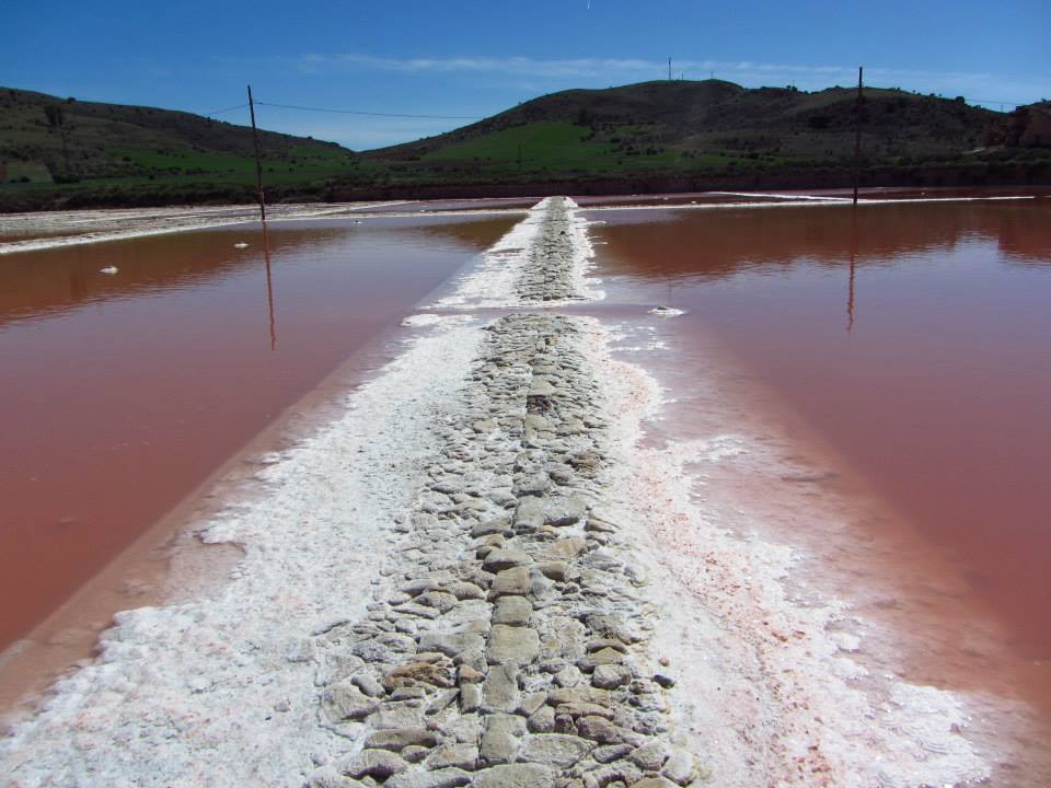 Guadalajara Salinas de Imón