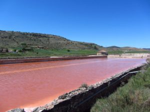 Guadalajara Salinas de Imón