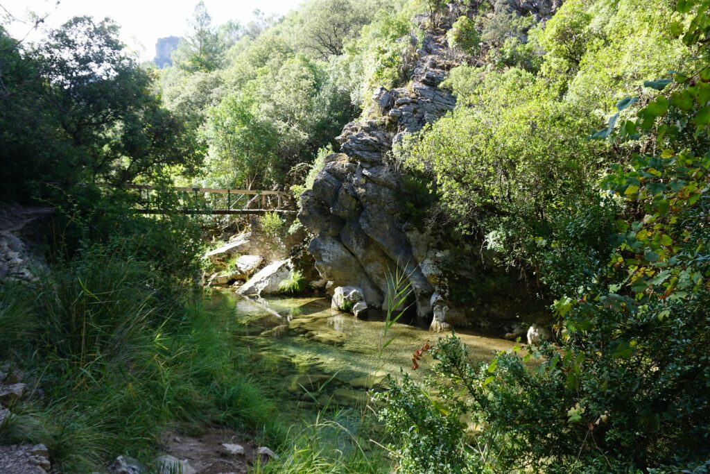 Río Borosa