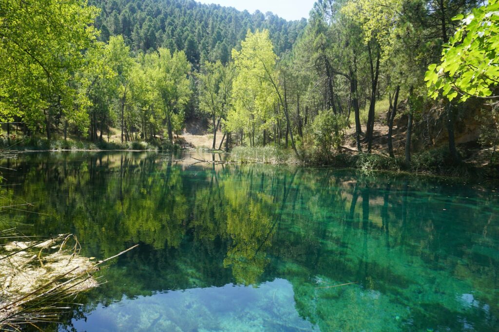 Laguna de Arroyo Frío