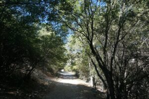 Parque Natural de Cazorla