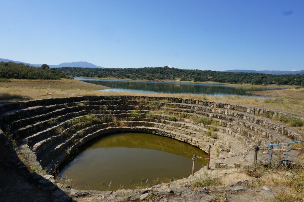 Baño de la cochina ﻿